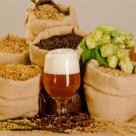 Солод пшен. светлый Castle Malting Wheat Blanc, 1 кг. (Бельгия)